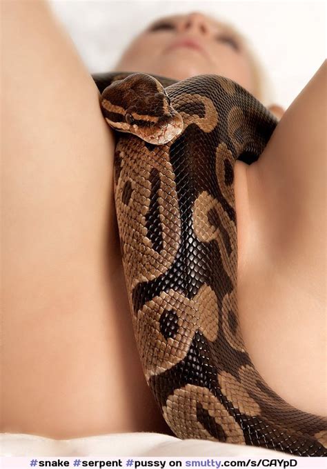 Snake Serpent Pussy Smutty Com My Xxx Hot Girl