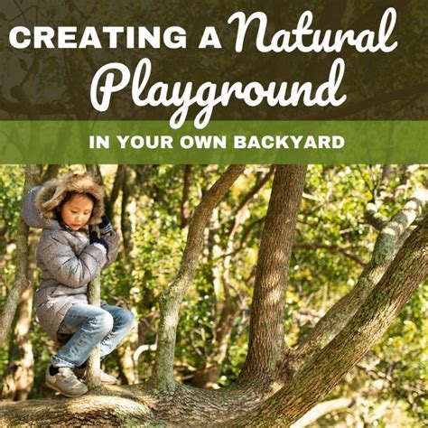 Backyard Natural Playground A Space For Experimentation And Play