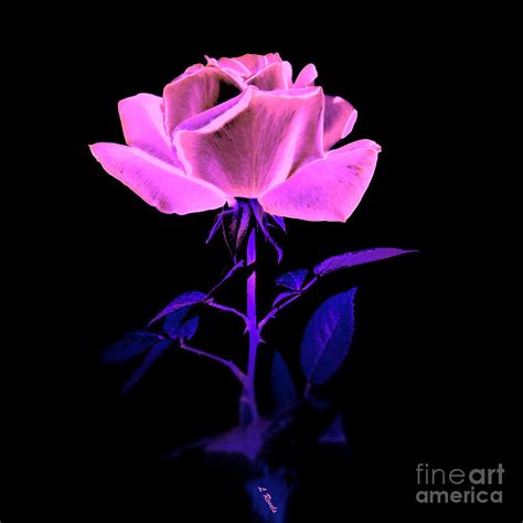 Neon Rose Photograph By Leslie Revels Pixels
