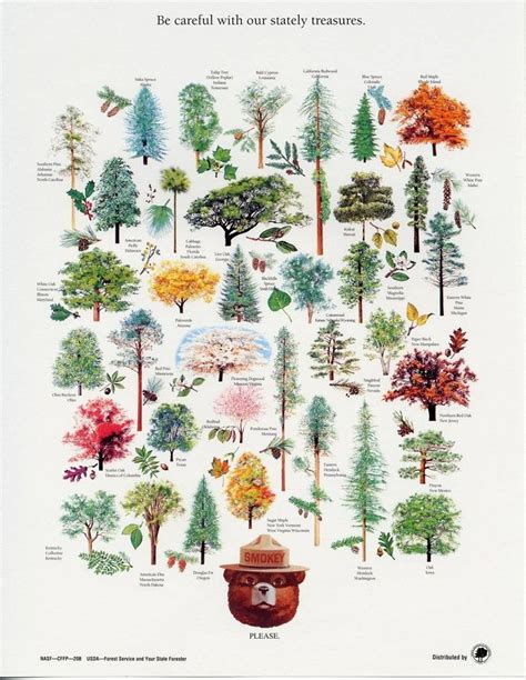 We did not find results for: tree names