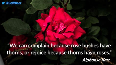 Thorn famous quotes & sayings. ABRAHAM LINCOLN Wall Quote We can complain because rose bushes have thorns,