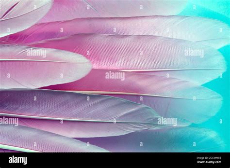Purple Texture Pen Hi Res Stock Photography And Images Alamy