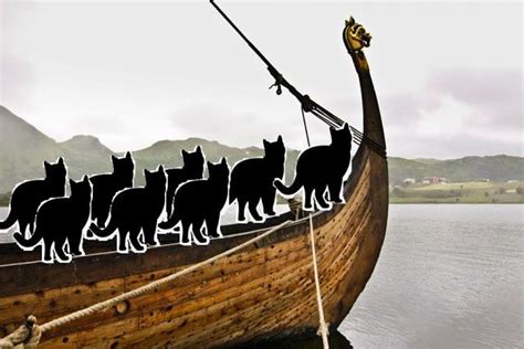 Viking Sailors Took Their Cats With Them Vikings Cats Viking History