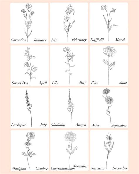 Birth Month Flower Svg Bundle Hand Drawn Flower Flower