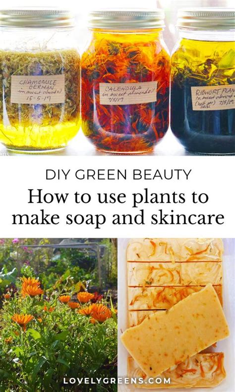 Homemade Beauty Products Homemade Skin Care Diy Natural Products Diy