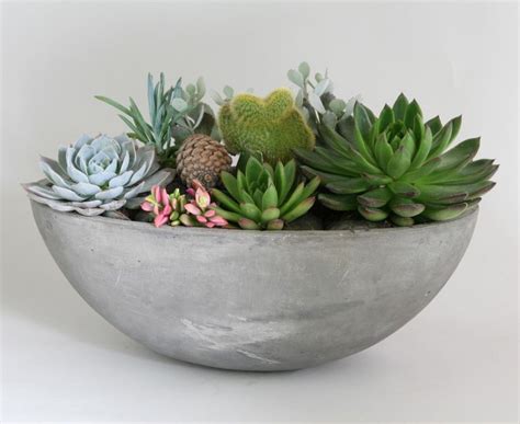 Succulent Design From Heathers Flowers In Los Angeles Ca Flower