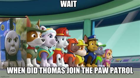 All 8 Paw Patrol Pups At The Lookout Memes Imgflip