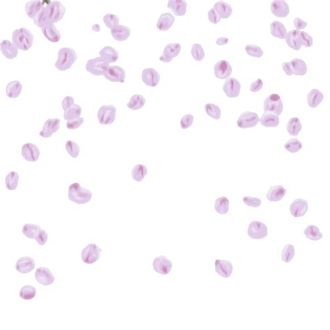 Purple petaled flowers illustration, lavender petal huocheng county soap, lavender flowers transparent background png clipart. Pin on flowers,plants etc.