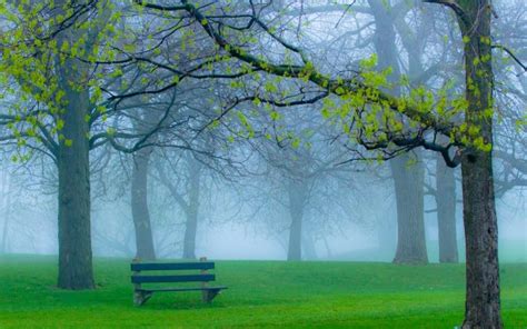 Bench Hd Wallpaper Background Image 1920x1080 Id96262