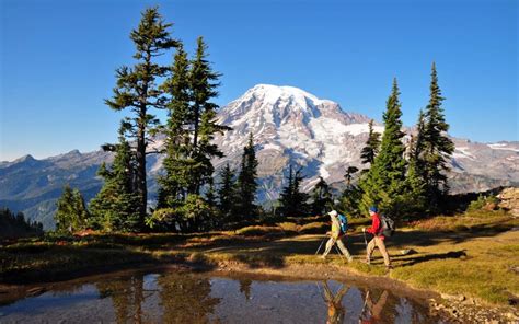 Mount Rainier National Park Washington State • Explorer Sue