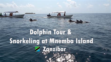 Mnemba Island Dolphin And Snorkeling Tour Zanzibar 4k Youtube