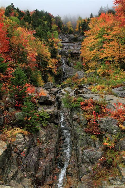 Silver Cascade Falls Crawford Notch State Park Photograph By Dan Sproul