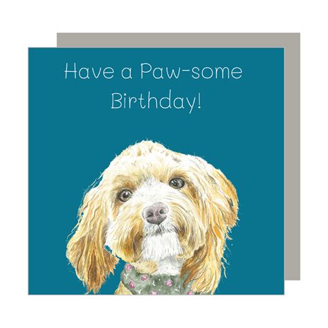 Have A Pawsome Birthday Colourful Wishes Card Love Country By Sarah