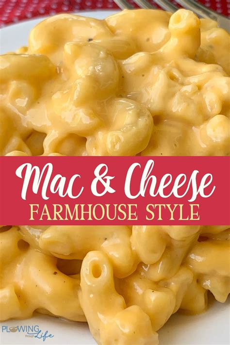 This rich and creamy macaroni and cheese is truly southern! Creamy macaroni and cheese is super easy to make in a ...
