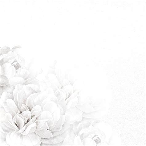 Detail White Flower Background Koleksi Nomer 3