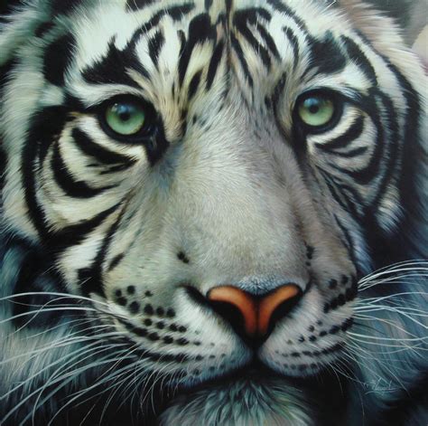 White Tiger 2 By Raipun On Deviantart