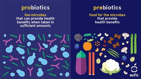 What Are Prebiotics And Probiotics And Are They Important For Health