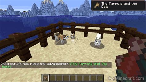 The Funniest Cats Cat Breeds In Minecraft
