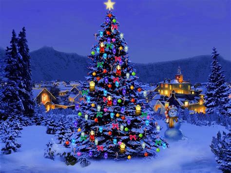 Wallpaper Christmas Trees Wallpapers