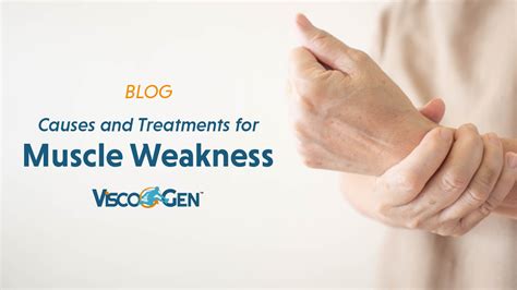 Causes And Treatments For Muscle Weakness Viscogen™