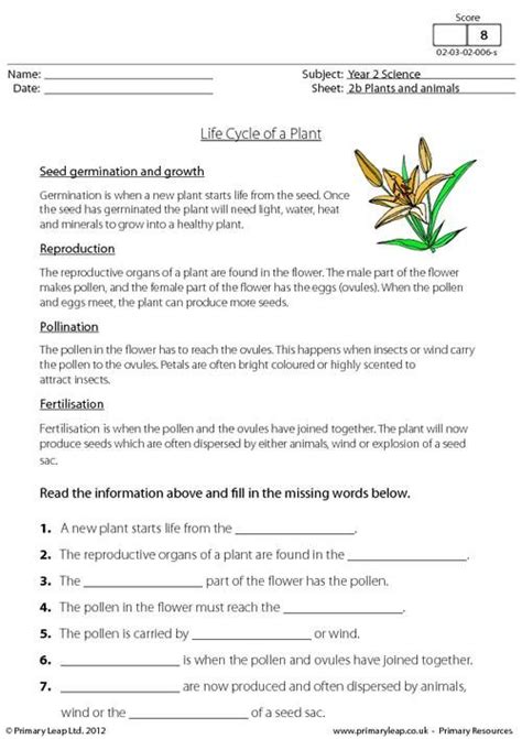 Java composition is achieved by using instance variables that refer to other objects. PrimaryLeap.co.uk - Life cycle of a plant Worksheet ...