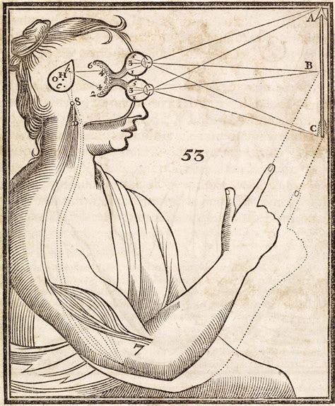 Rene Descartes Scientific Illustration Illustration Drawings