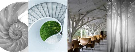 How To Incorporate Biophilic Design Into Your Home Interior Yellow