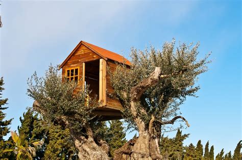 70 Fun Kids Tree Houses Picture Ideas And Examples