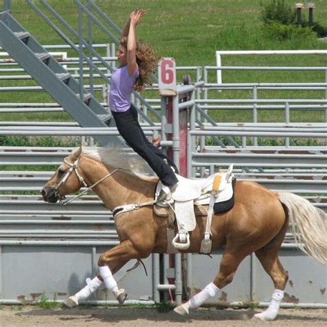 Pin By Victoria Scholten On Heartland Trick Riding Horse Training