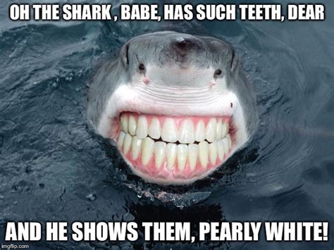 Sharkteeth Imgflip