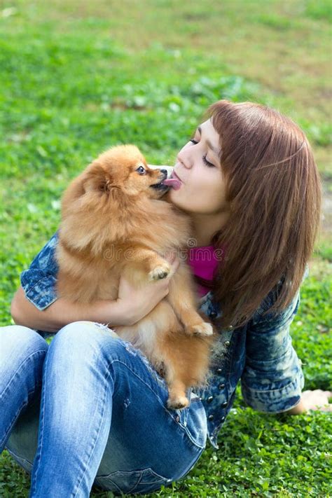 Pomeranian Licking A Young Woman Stock Image Image Of Beautiful