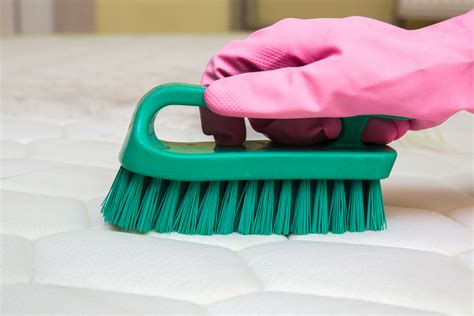 Der lagerort für die matratze sollte möglichst sauber und vor allem trocken sein. Matratze reinigen » Schritt für Schritt Anleitung zu mehr ...