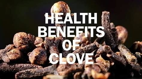 16 Amazing Health Benefits Of Clove