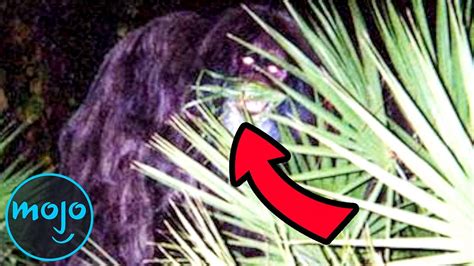 Top 10 Famous Real Life Monsters Caught On Camera Youtube