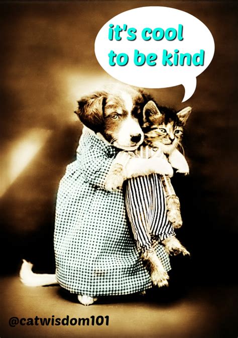 9 Purrfect Kindness To Animals Quotes Illustrated Cat Wisdom 101