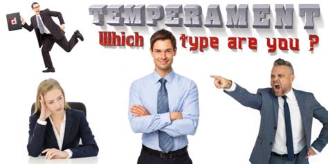 Temperament Which Type Are You Fp Executive Recruitment Thailand