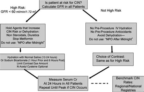 Contrast Induced Acute Kidney Injury Circulation