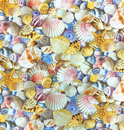 Timeless Treasures Beach Day Assorted Packed Beach Shells Multi