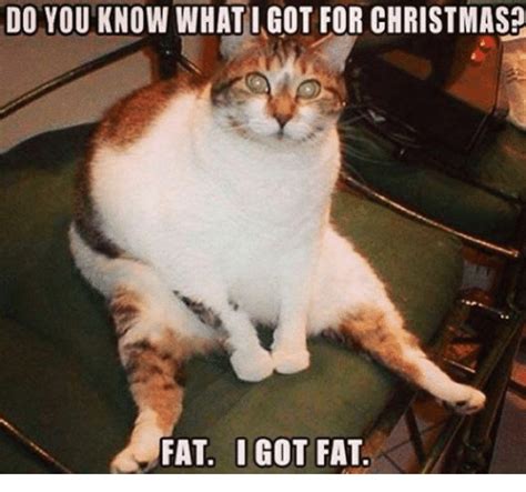 Do You Know What I Got For Christmasa Fat I Got Fat