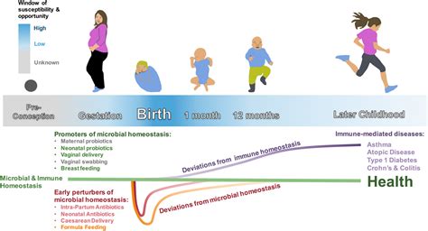 Frontiers Early Life Hostmicrobiome Interphase The Key Frontier For