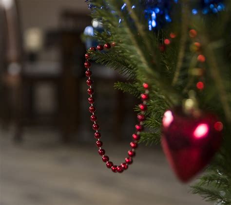 무료 이미지 잔치 집 겨울 비밀 행사 크리스마스 장식 빨간 Holiday Ornament 휴일 빛 카민