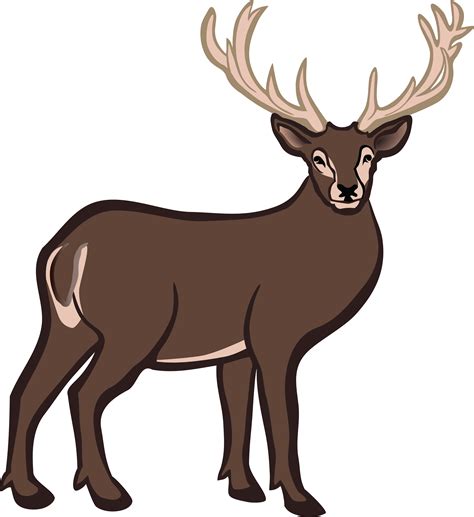 White Tailed Deer Reindeer Clip Art Deer Head Png Download 4000