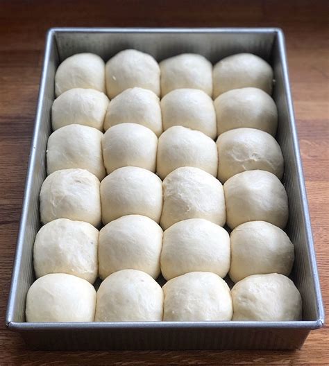 two dozen amish dinner rolls in a 9 x 13 pan risen and ready to bake amish bread sandwich
