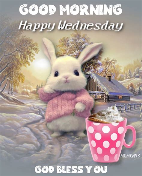 Bunny And Coffee Good Morning Happy Wednesday Pictures Photos And