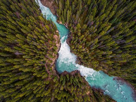 Aerial View Photography Of Lake Between Pine Trees Landscape Trees