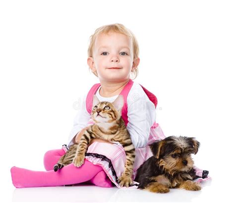 2977 Cat Small Dog Playing Cat Stock Photos Free And Royalty Free