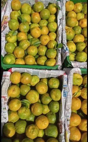 A Grade Maharashtra Fresh Orange Packaging Size 25 Packaging Type