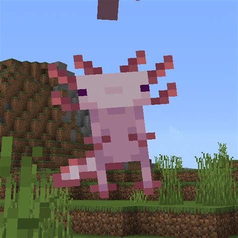 Axolotl Totem ⊙ Java And Bedrock Edition Minecraft Texture Pack