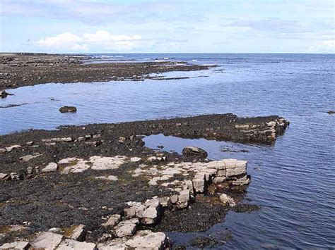 Wave Cut Platform At Pollnadivva © Oliver Dixon Cc By Sa20