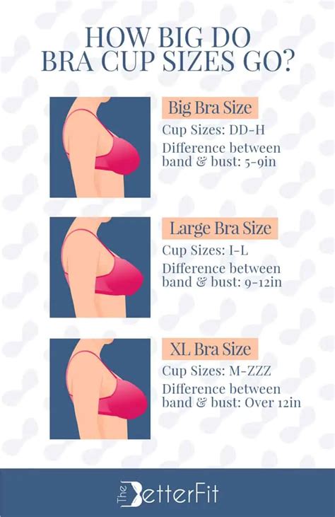 What Is The Biggest Bra Cup Size Thebetterfit